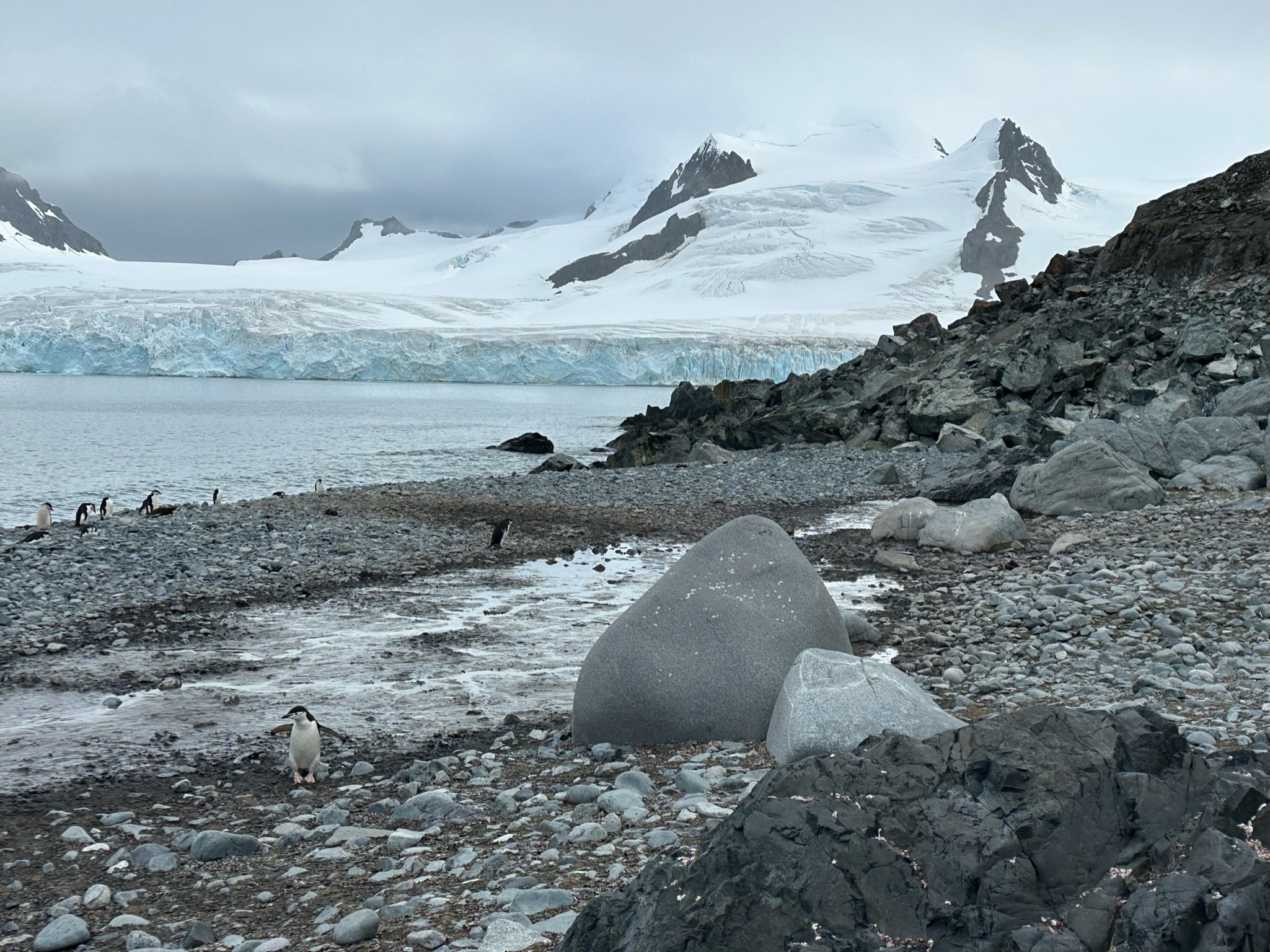 Expedice Antarktida únor 2023